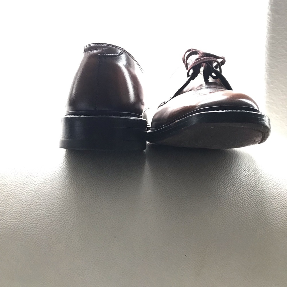 Wright Arch Preserver - image 2